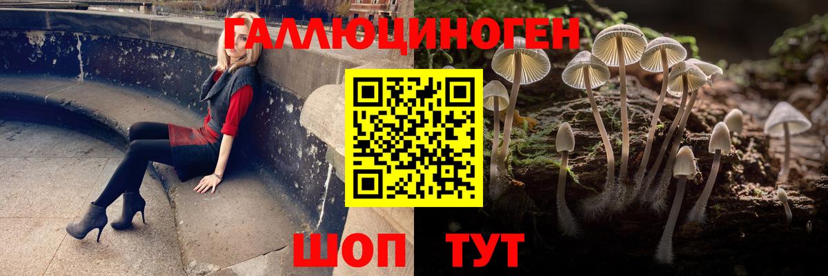 Псилоцибиновые грибы ЛСД  Вход с VPN  Бийск 